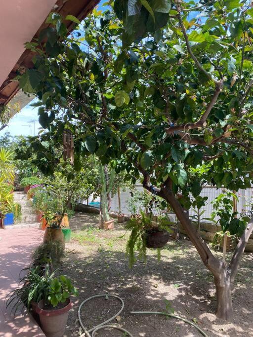 Hidden Nest Apartment Rodhia  Exterior photo