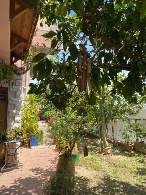 Hidden Nest Apartment Rodhia  Exterior photo